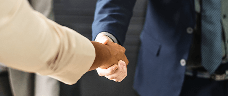 Professional team members shaking hands